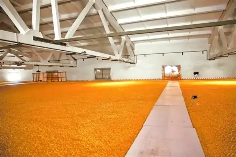 Steel Structure Agricultural Processing Plant Construction